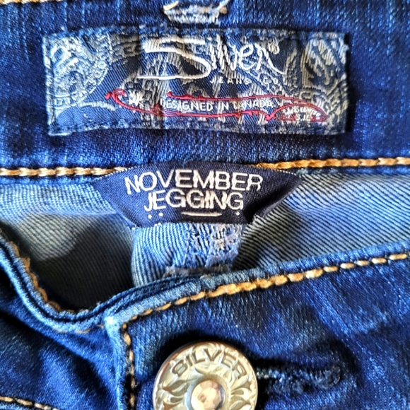 Silver November Jeggings - Picture 2 of 8